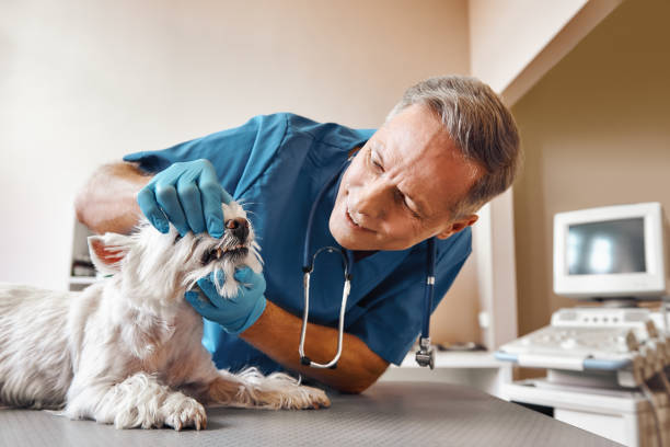 Best Weekend Emergency Dentist in Corinth, MS